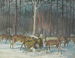 581_0x200_thumbnail_478b24840a